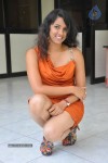 Sravya Reddy Hot Photos - 51 of 64