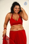 Swathika Spicy Stills - 78 of 84