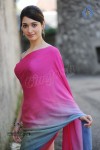 Tamanna Spicy Photos - 32 of 97