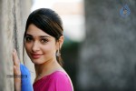 Tamanna Spicy Photos - 41 of 97