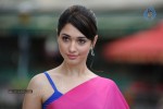 Tamanna Spicy Photos - 63 of 97