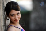 Tamanna Spicy Photos - 65 of 97