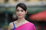 Tamanna Spicy Photos - 80 of 97