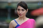 Tamanna Spicy Photos - 83 of 97