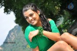 Tashu Kaushik Hot Photos - 51 of 88