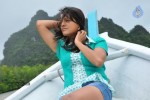 Tashu Kaushik Hot Photos - 81 of 88