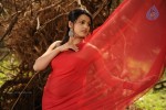 Tashu Kaushik Hot Photos - 85 of 88