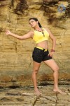 Tashu Kaushik Spicy Stills - 46 of 70