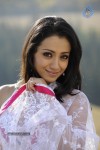 Trisha Spicy Gallery  - 62 of 90