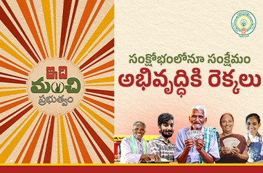 TDP Ads