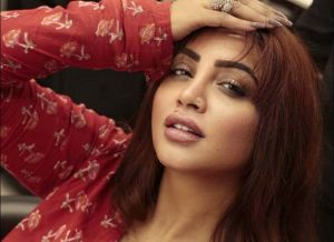 Arshi Khan Comes Out in Support of Shilpa Shinde 