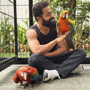 NTR introduces his new friends