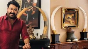 Mohanlal declares elephant tusks, ivory idols under Kerala amnesty