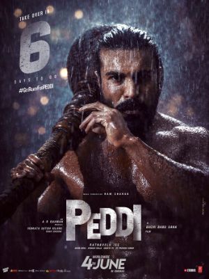 Peddi Telugu States Business Details