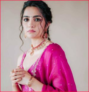 Sandalwood Beauty aiming for the stars in Tollywood