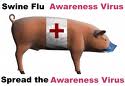 High alert in the state on swine flu