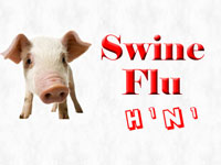 One more dies of swine flu