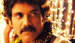 Nagarjuna already hinted about 'Kedi.'