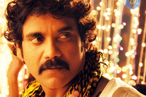 Will Nagarjuna follow Chiru's path?