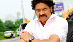 Nag Fans to become active again