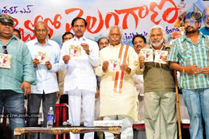 Only few vested commercial interests against Telangana: KCR