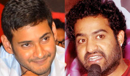 Mahesh Vs NTR: Friendly Fight