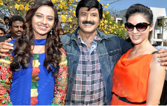 Balayya enjoying 'Simha' Sentiment