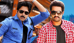 'Gabbar Singh' swallowed 'Dammu'