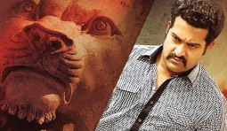 'Dammu' Unites Nandamuri Fans