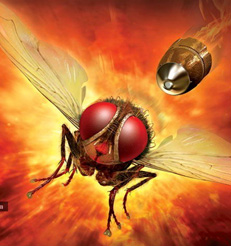 Finally, 'Eega' gives a 'Power' Stroke