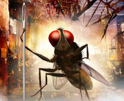 Bad Omen for 'Eega' in Hindi?