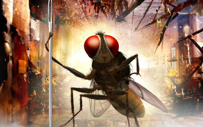 Latest Fake Collections of 'Eega'