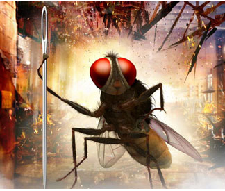 'Eega' Flies in TV Today