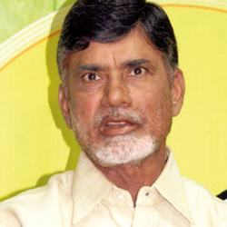 Naidu injured as makeshift dais caves in