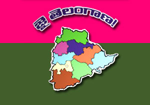 TRS MLA slams CM for ignoring Telangana