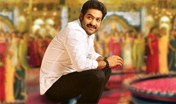 NTR Not Interested in Multi-Starrer?