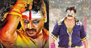 'Ganga' Has No Problem from 'Lion'