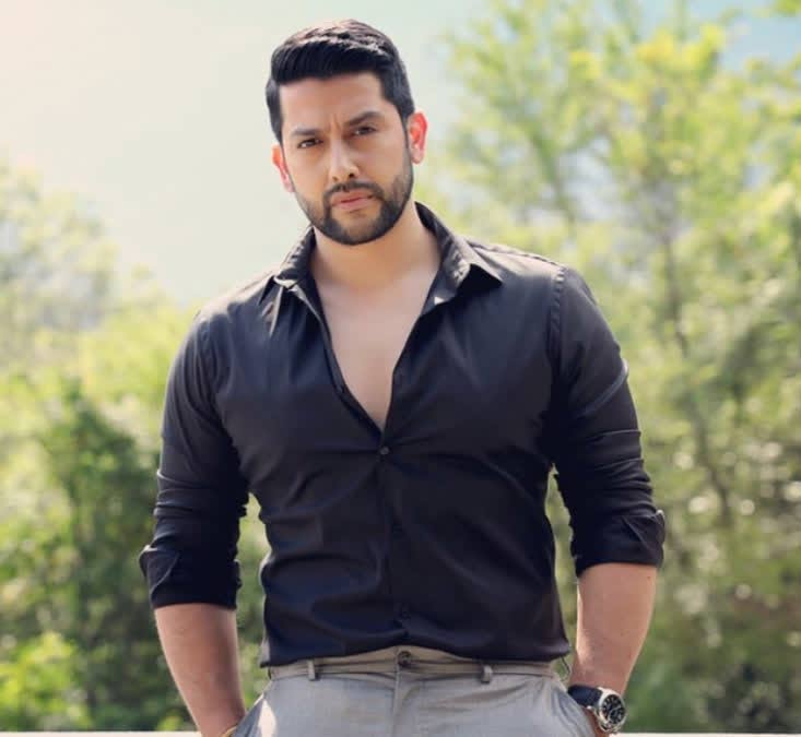 Bollywood Actor Aftab Shivdasani Affected by Cyber Fraud 