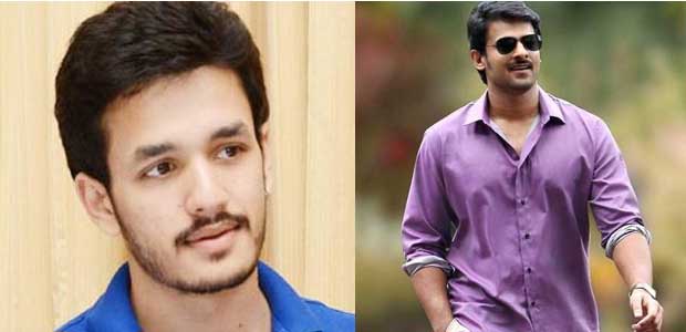 Akhil to Become Big Star Like Prabhas!