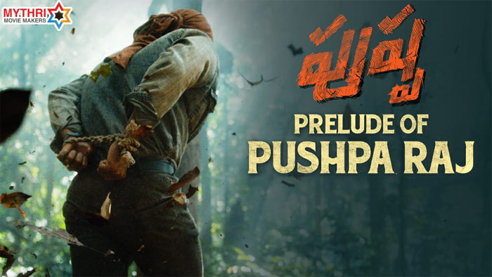 Allu Arjun Pushpa Prelude Review