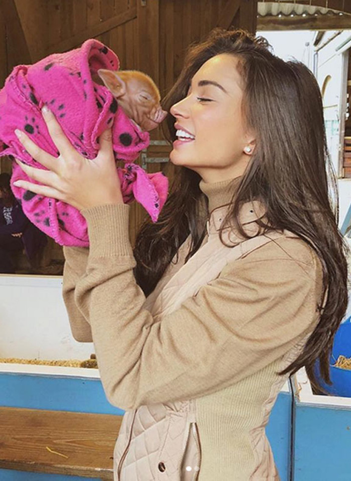 Amy Jackson kisses a piglet