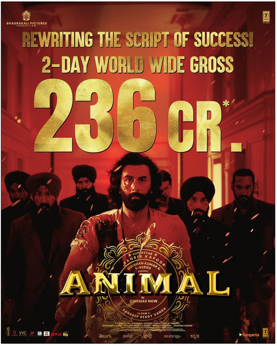 Animal 2 Days Box Office Collections