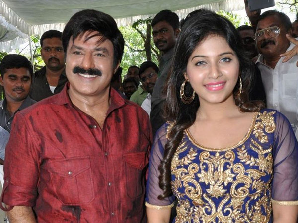 Balakrishna Aims at Sankranthi!