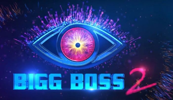 Big Boss 2 Telugu