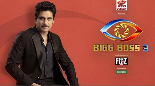 Bigg Boss 3 Contestants List