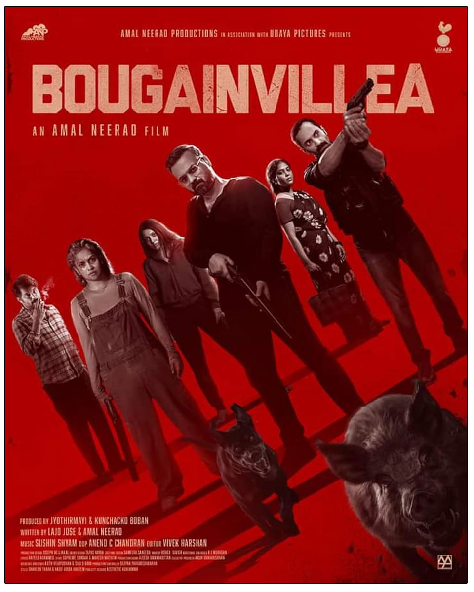  Bougainvillea Off to a Flying Start at the Box Office