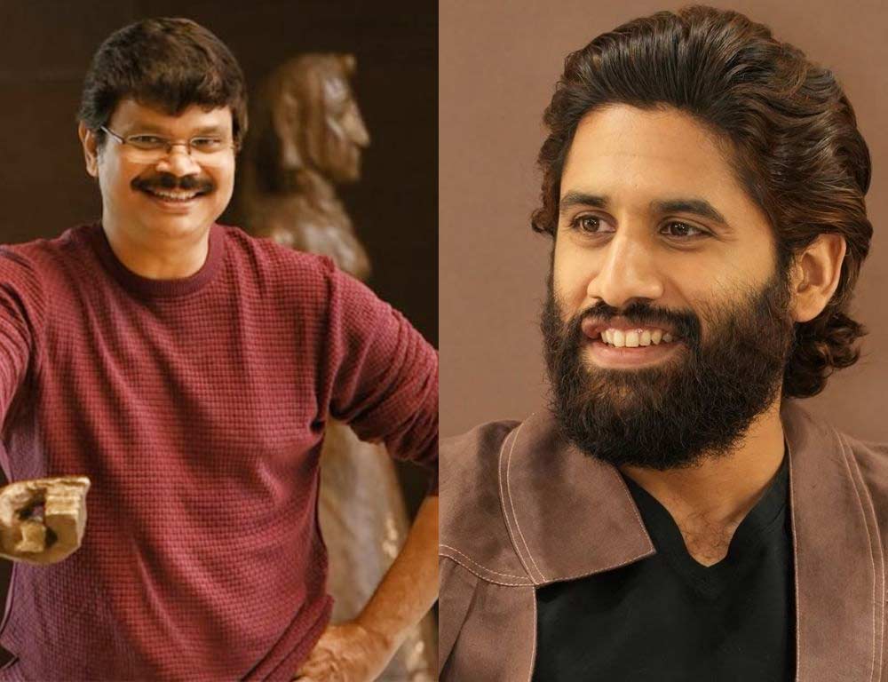 Boyapati Srinu Team Up with Naga Chaitanya