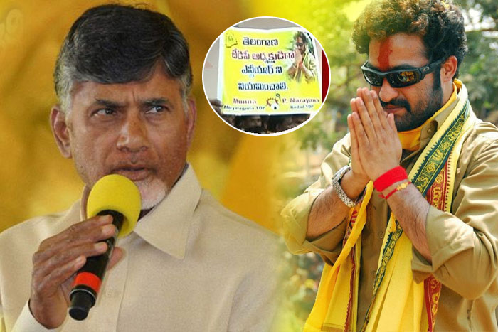 Chandrababu Naidu and Jr NTR