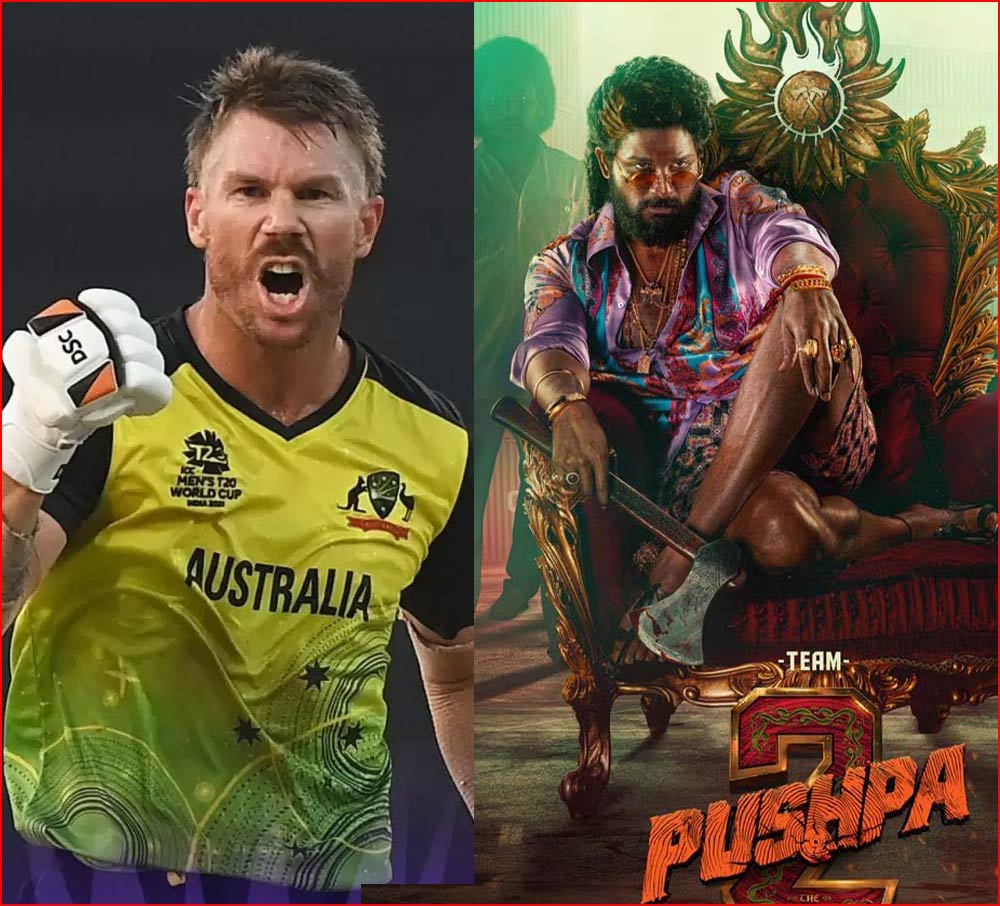 David Warner in Pushpa The Rule