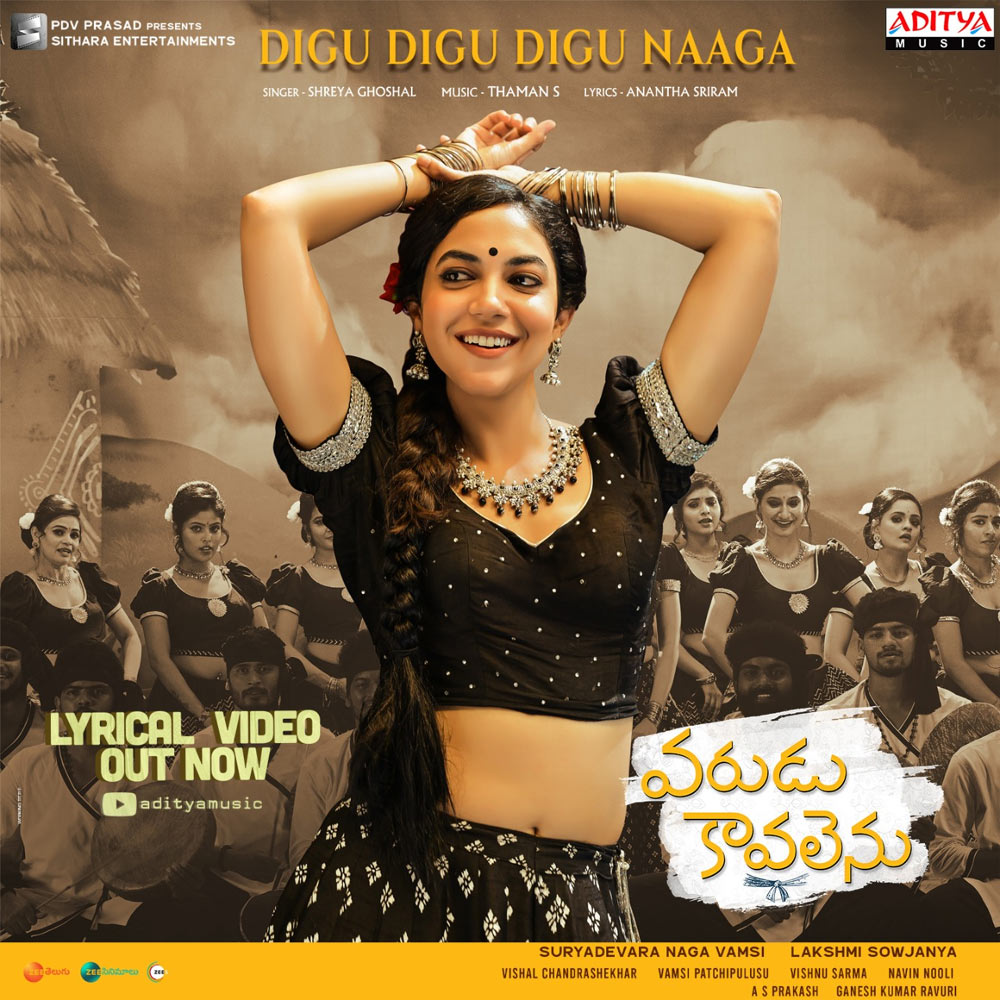 Digu Digu Naaga from Varudu Kaavalentu Movie